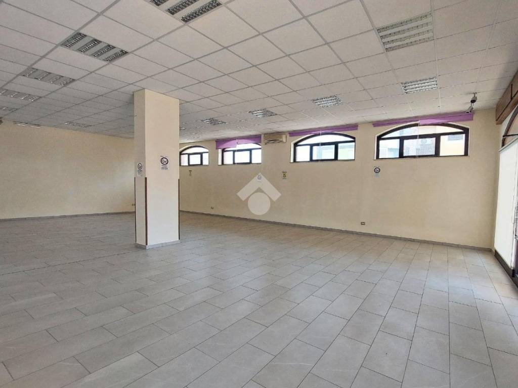 immagine annuncio 8 di 14