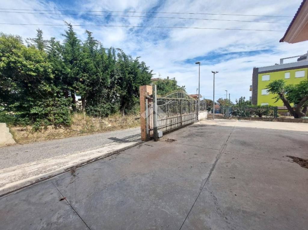 immagine annuncio 12 di 14