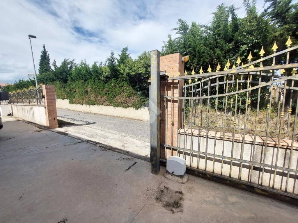 immagine annuncio 13 di 14