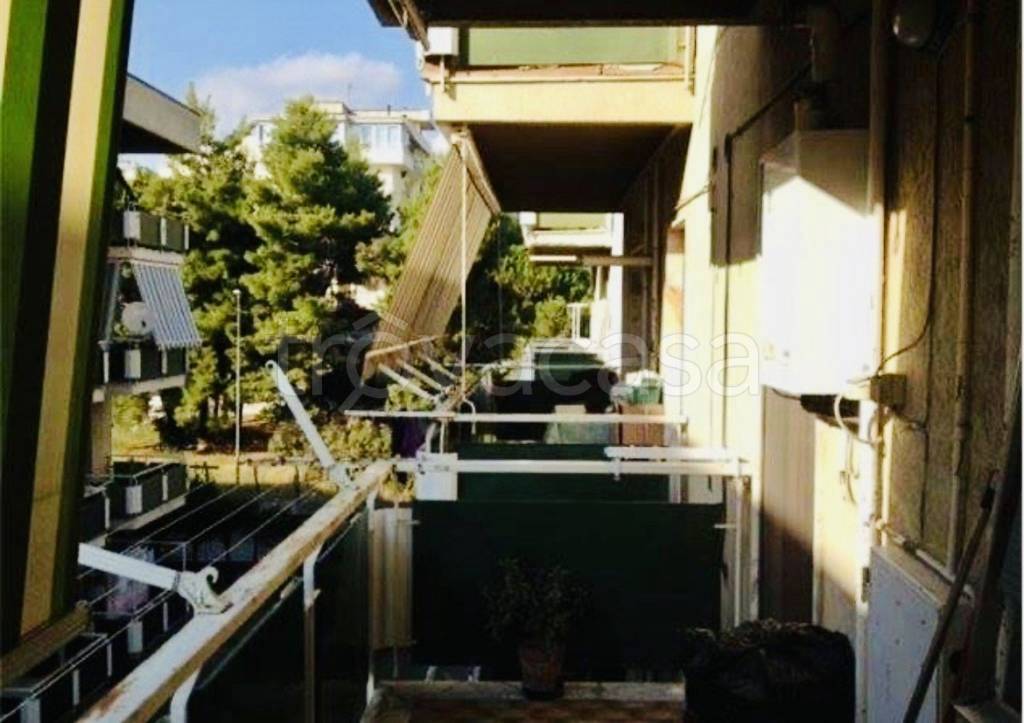 immagine annuncio 9 di 13