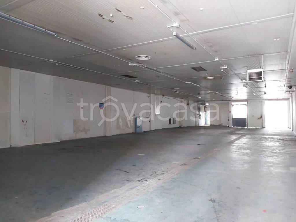 immagine annuncio 4 di 11