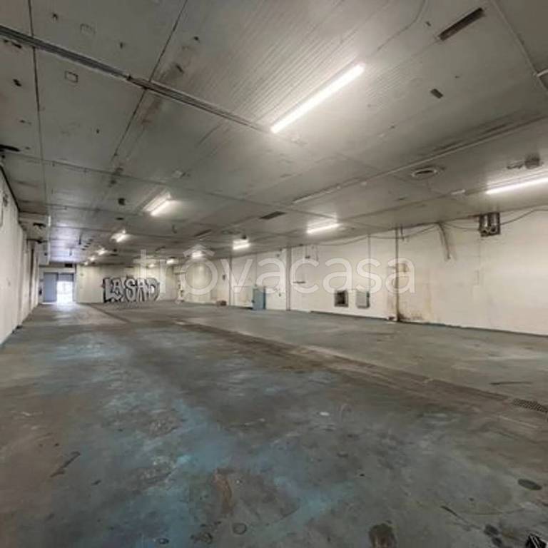 immagine annuncio 5 di 11