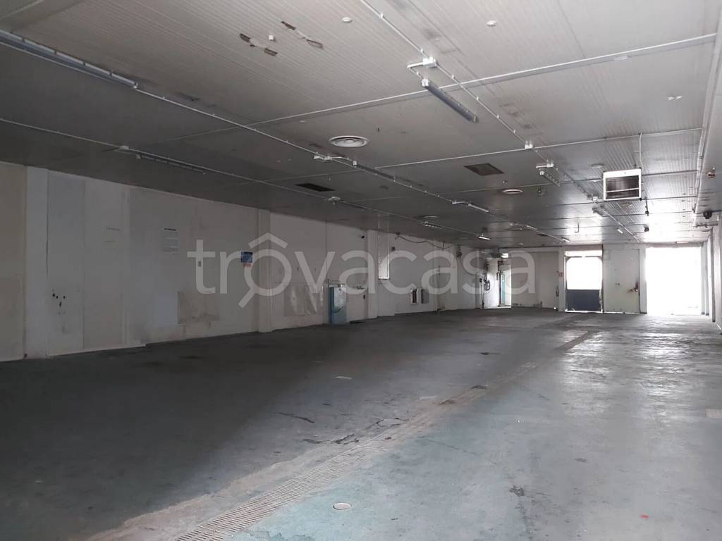 immagine annuncio 6 di 11