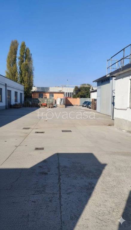 immagine annuncio 8 di 11