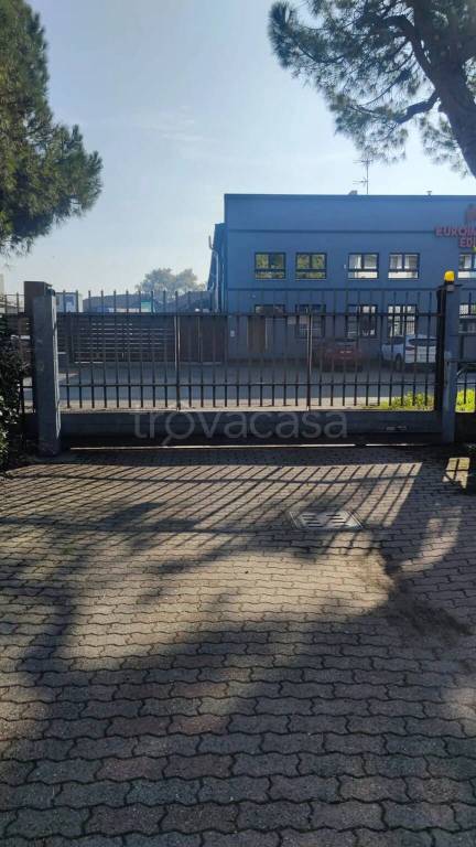 immagine annuncio 9 di 11