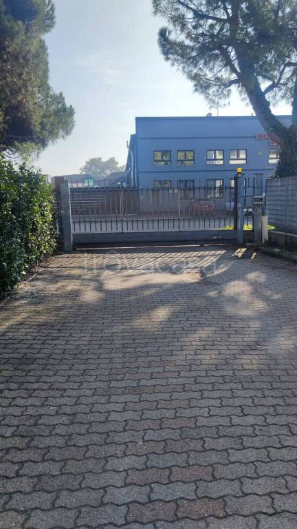 immagine annuncio 10 di 11