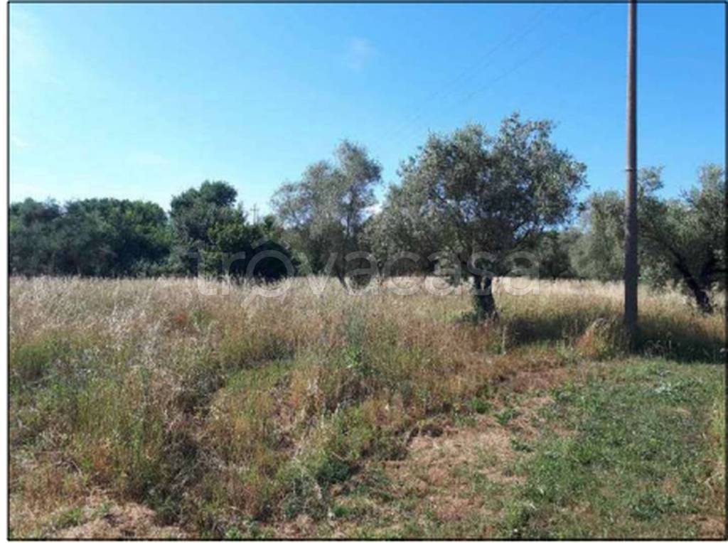 immagine annuncio 4 di 9