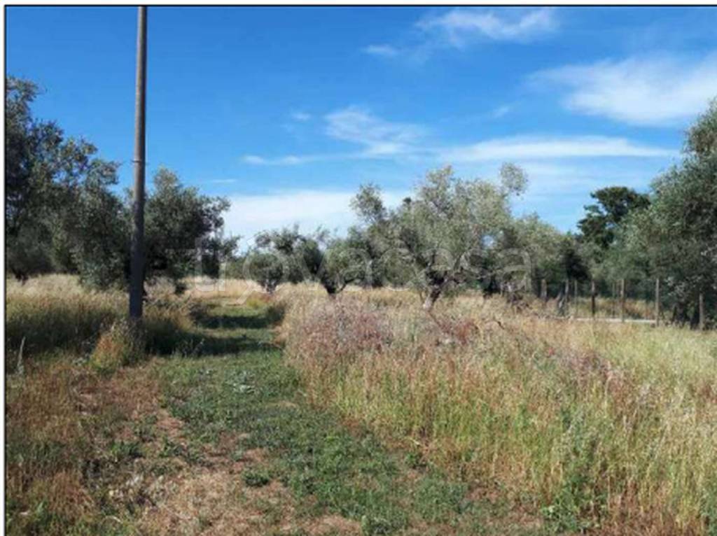 immagine annuncio 5 di 9