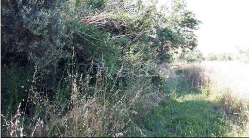 immagine annuncio 7 di 9