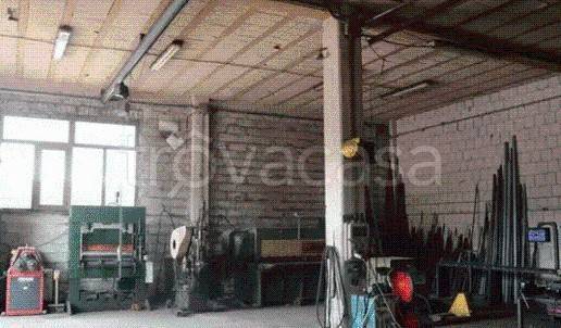 immagine annuncio 4 di 12