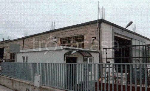 immagine annuncio 7 di 12