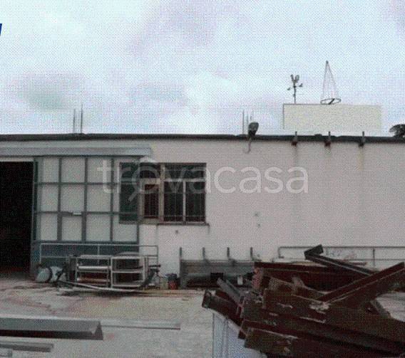 immagine annuncio 9 di 12