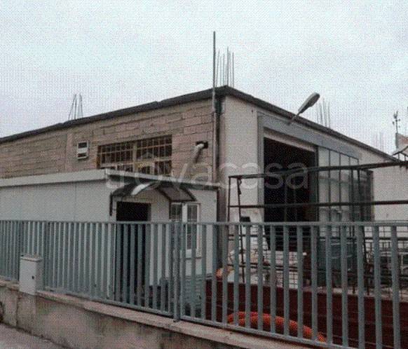 immagine annuncio 10 di 12