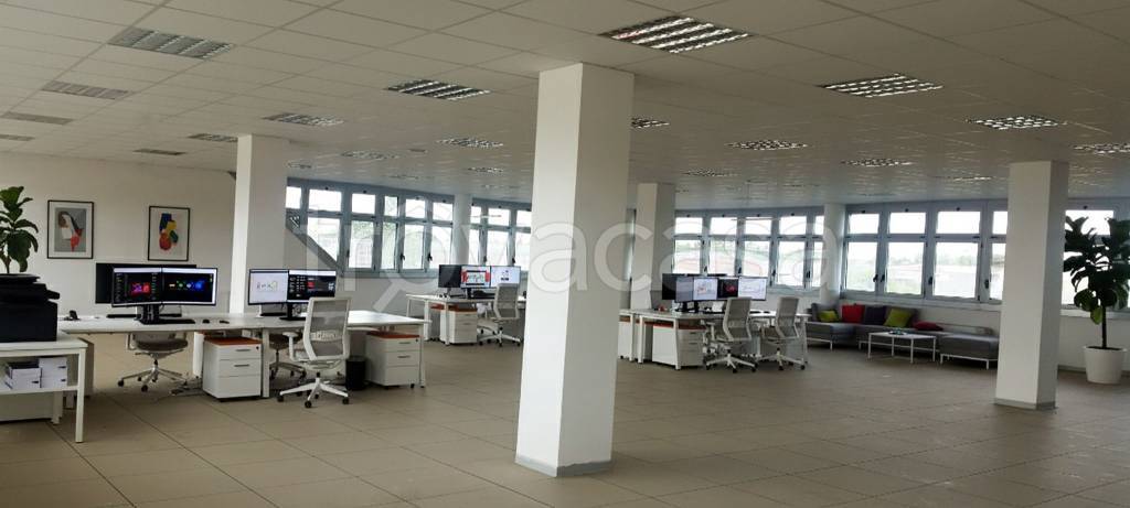 immagine annuncio 7 di 12