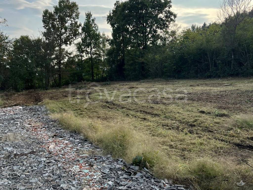 immagine annuncio 3 di 7