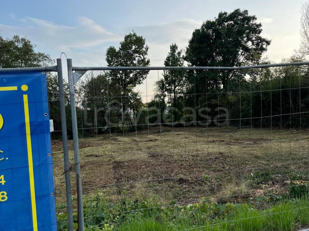 immagine annuncio 4 di 7