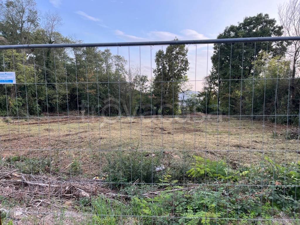 immagine annuncio 5 di 7