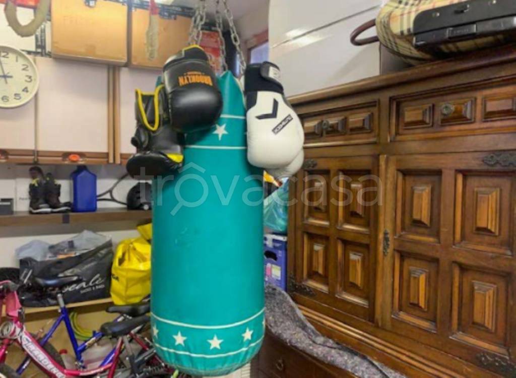 immagine annuncio 9 di 15