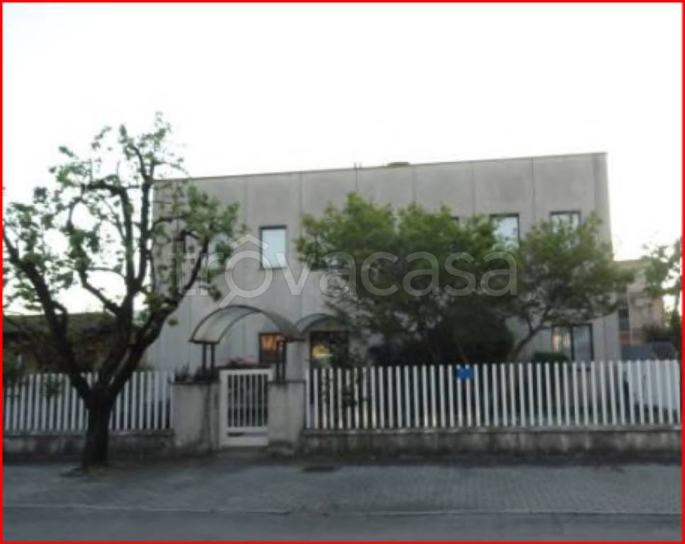 immagine annuncio 1 di 14