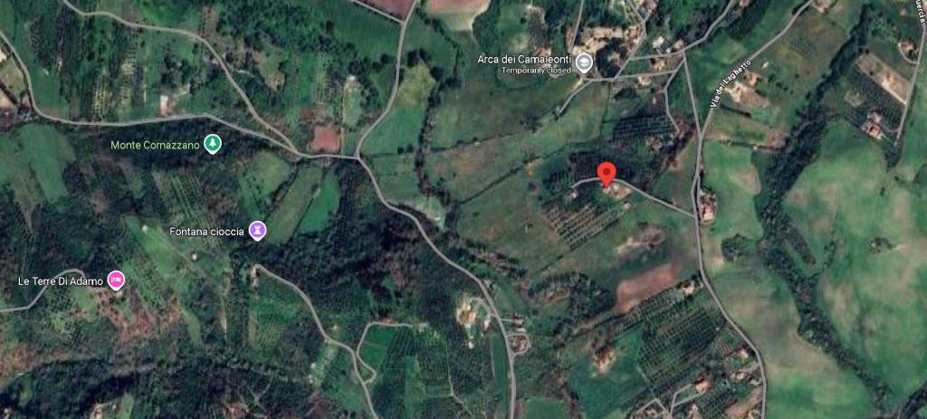 immagine annuncio 14 di 15