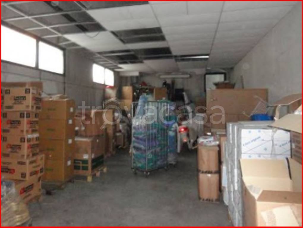 immagine annuncio 3 di 14