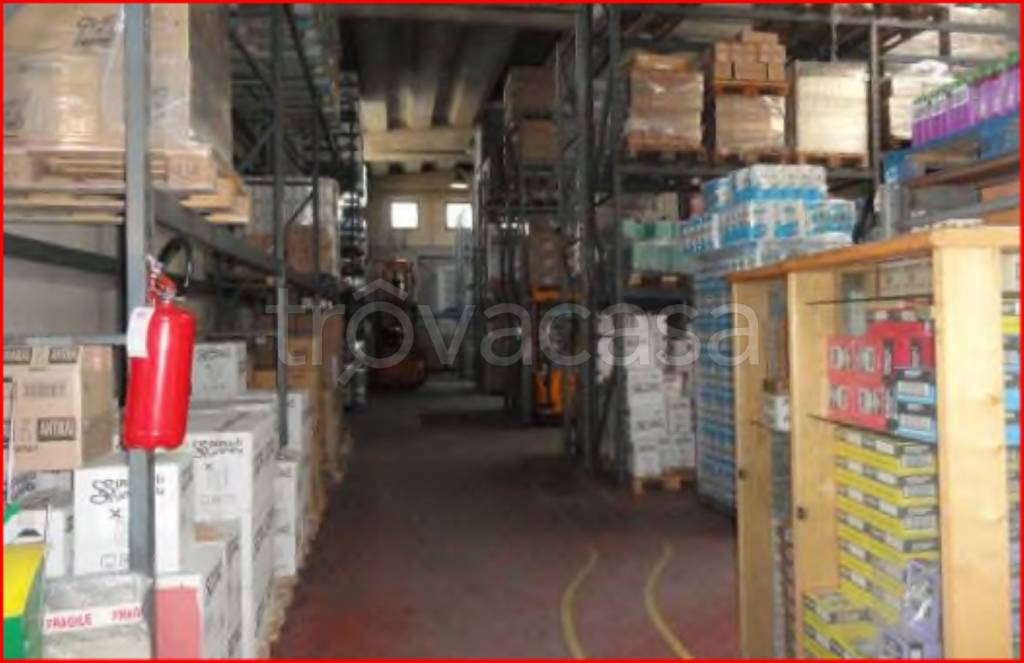 immagine annuncio 4 di 14