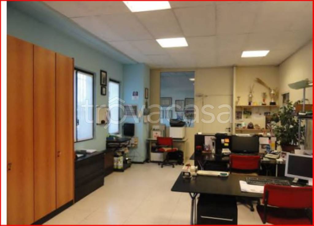 immagine annuncio 7 di 14