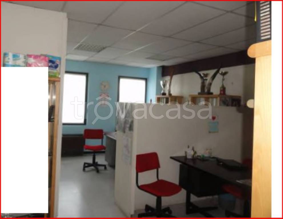 immagine annuncio 9 di 14