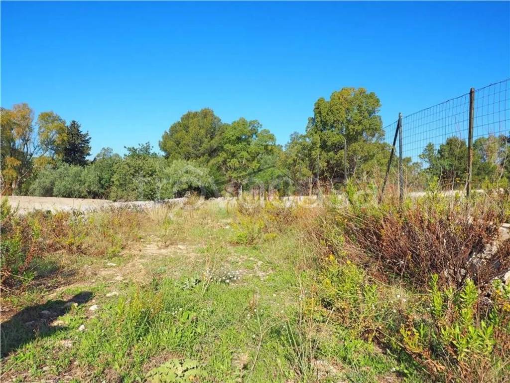 immagine annuncio 3 di 9