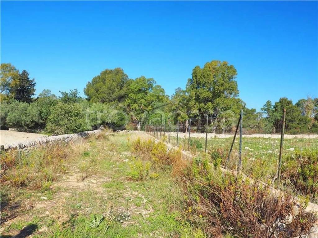 immagine annuncio 4 di 9