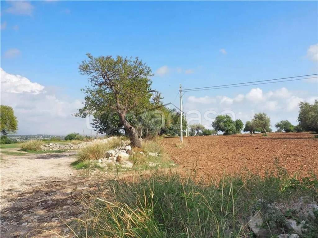 immagine annuncio 5 di 9