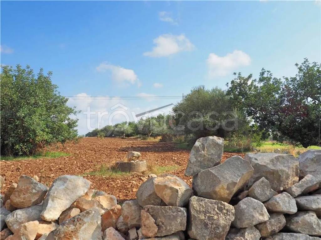 immagine annuncio 7 di 9