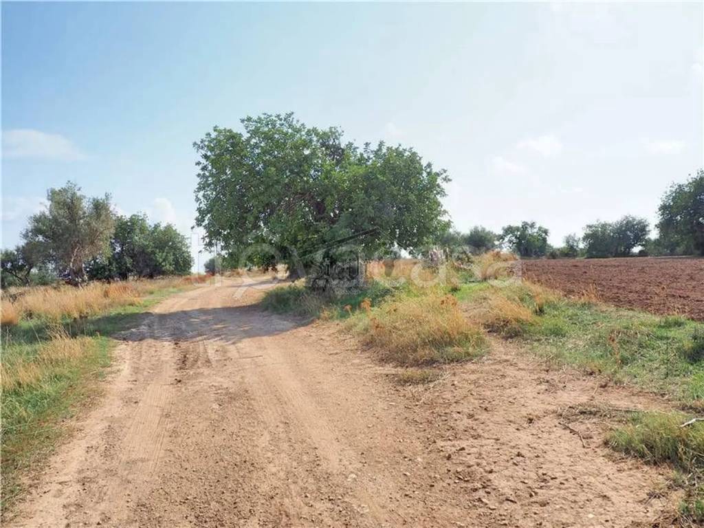 immagine annuncio 8 di 9