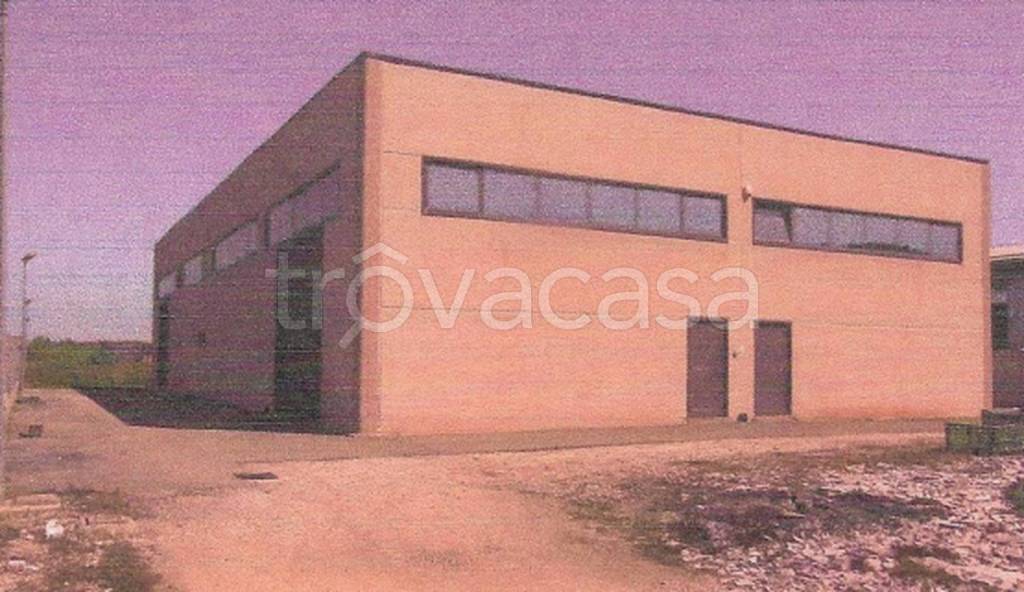 immagine annuncio 8 di 9