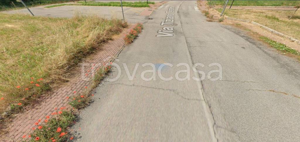 immagine annuncio 6 di 12