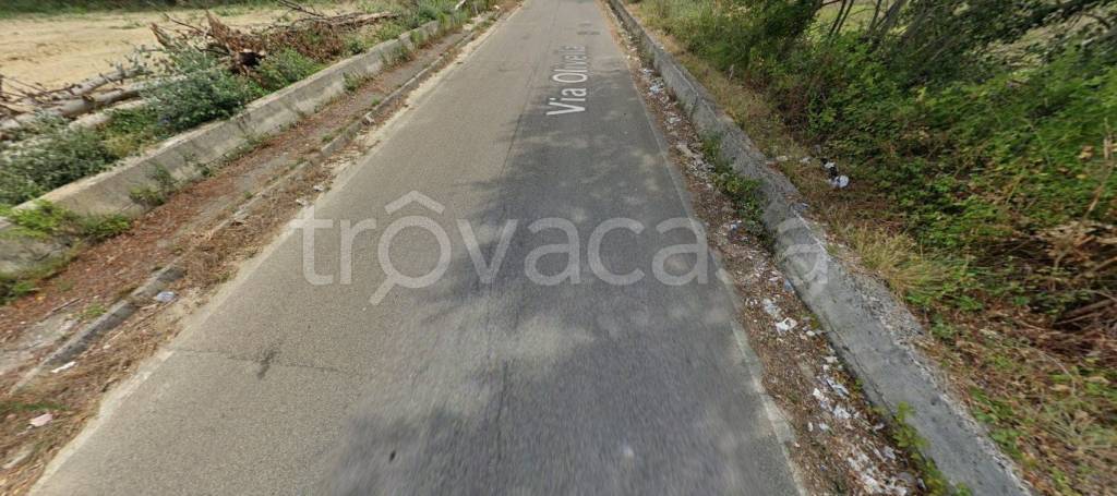 immagine annuncio 5 di 8