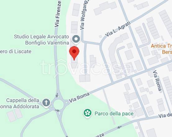 immagine annuncio 2 di 11