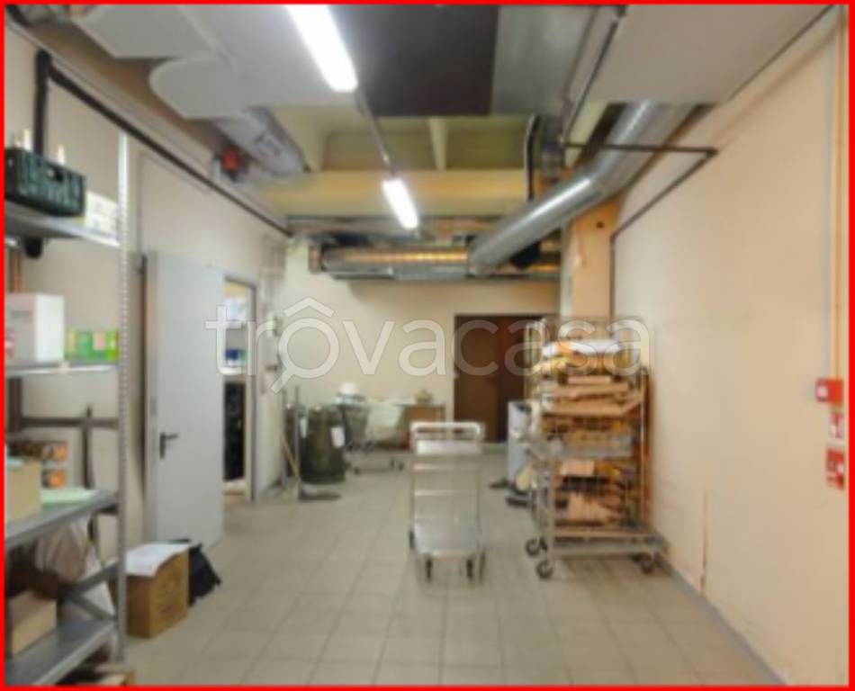 immagine annuncio 5 di 11