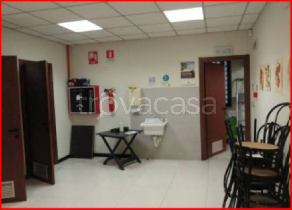 immagine annuncio 8 di 11