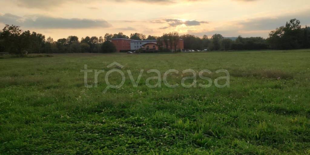 immagine annuncio 3 di 12