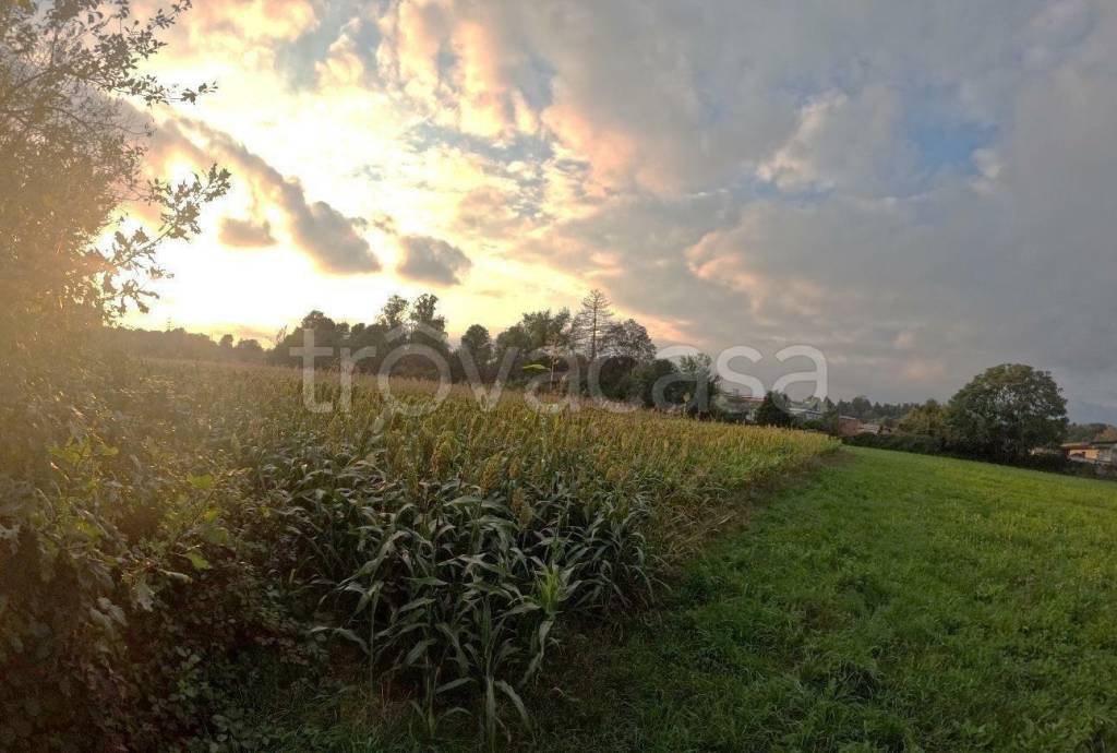 immagine annuncio 4 di 12