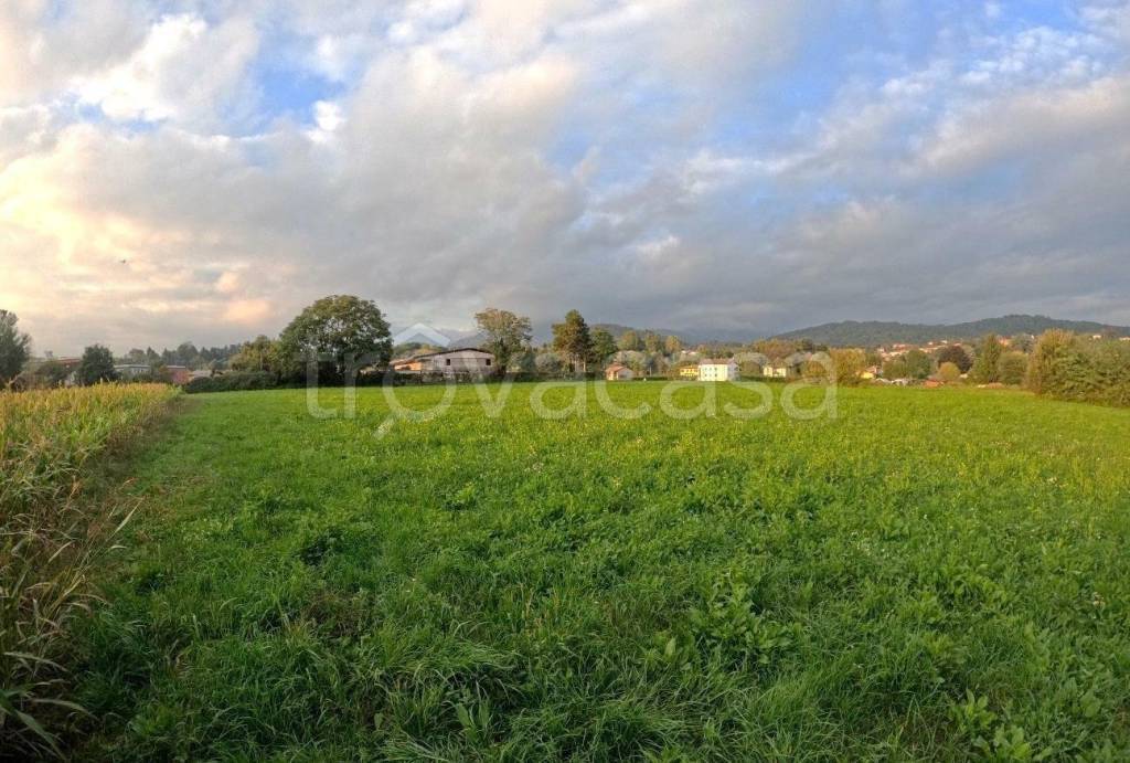 immagine annuncio 5 di 12