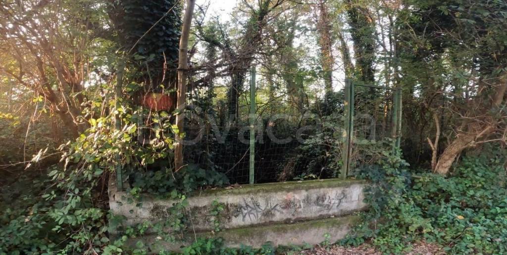 immagine annuncio 6 di 12