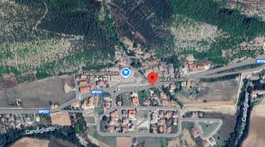 immagine annuncio 9 di 12