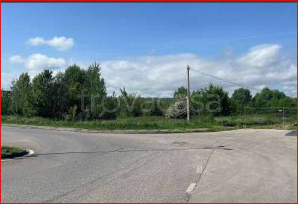 immagine annuncio 4 di 11