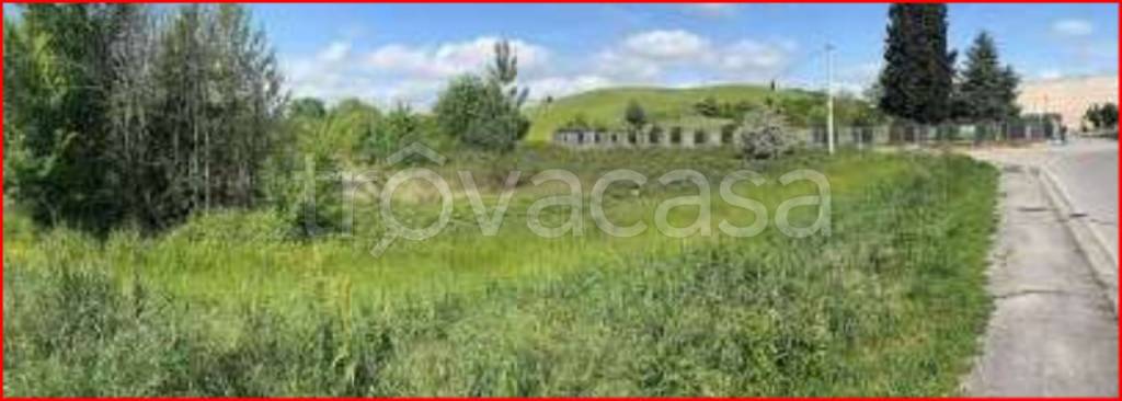 immagine annuncio 5 di 11