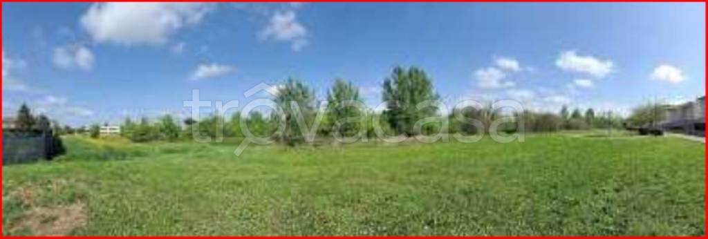 immagine annuncio 7 di 11