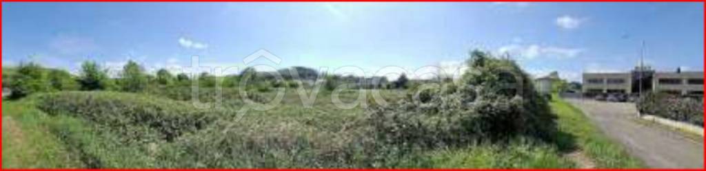 immagine annuncio 9 di 11