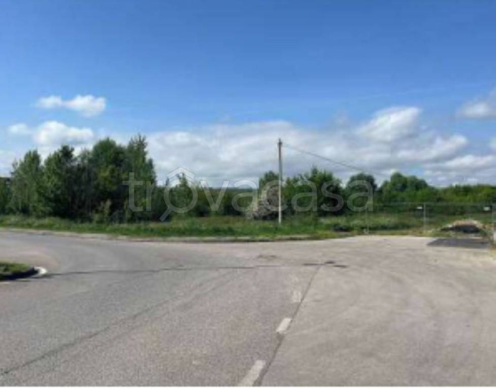 immagine annuncio 4 di 11