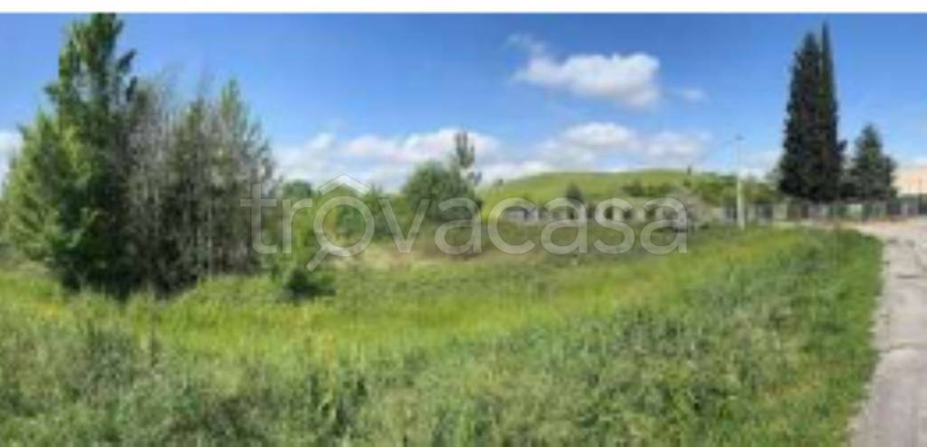 immagine annuncio 5 di 11